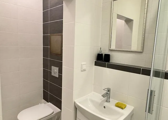 Apartment Jeseniova Prague